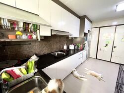Blk 475 Jurongville @ Street 41 (Jurong West), HDB 3 Rooms #598740941